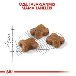 Royal Canin Kitten Yavru Kedi Maması 10 kg