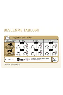 Royal Canin British Shorthair Kedi Maması 10 Kg