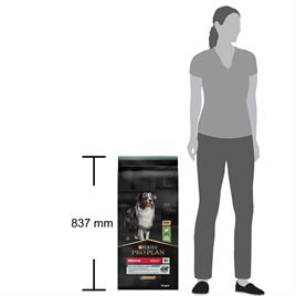 Pro Plan Kuzu Etli Digestion Yetişkin Köpek Maması 14 Kg