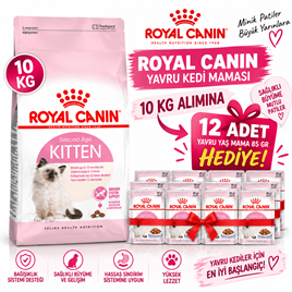 Royal Canin Yavru Kedi Maması 10 Kg