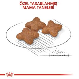 Royal Canin Mini Adult Yetişkin Köpek Maması 4 Kg