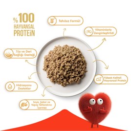 Wanpy Tahılsız Ton Balıklı Kedi Konservesi 375 gr