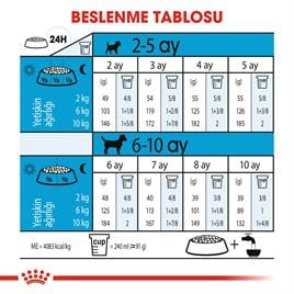 Royal Canin Mini Puppy Yavru Kuru Köpek Maması 4 kg