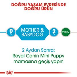Royal Canin Mini Starter Küçük Irk Anne ve Yavru Köpek Maması 4 Kg