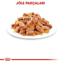 Royal Canin Jelly Kitten Yaş Mama 85 Gr X 12 Adet