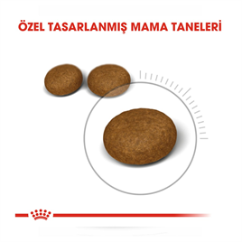 Royal Canin Hair Skin Tüy ve Cilt Destekli Kedi Maması 2 Kg