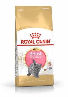 Royal Canin British Shorthair Kitten Kedi Kuru Maması 2 kg