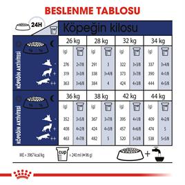 Royal Canin Maxi Adult Büyük Köpek Maması 15 kg