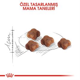 Royal Canin BabyCat Yavru Kuru Kedi Maması 2 Kg