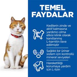 Hills Kısırlaştırılmış Somon Balıklı Kedi Maması 3 Kg