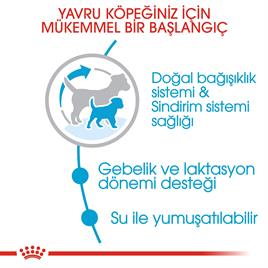 Royal Canin Mini Starter Küçük Irk Anne ve Yavru Köpek Maması 4 Kg