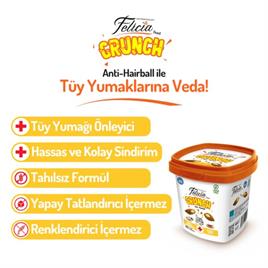 Felicia Hairball Kedi Crunch Ödül Maması 100 g