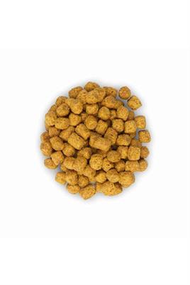 Hills Kısırlaştırılmış Yetişkin Kedi Maması Tavuklu 10 Kg