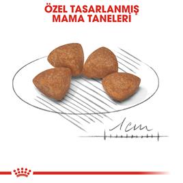 Royal Canin Xsmall Puppy Köpek Maması 3kg