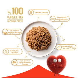 Wanpy Tahılsız Kuzu Etli Kedi Konservesi 375 gr