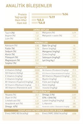 Royal Canin British Shorthair Kedi Maması 10 Kg