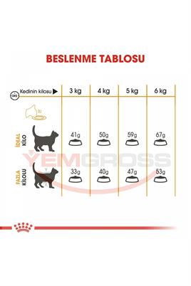 Royal Canin Hair Skin Deri Ve Tüy Sağlığı Için Kedi Maması 4 Kg