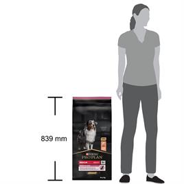 Pro Plan Somonlu Sensitive Yetişkin Köpek Maması 14 Kg