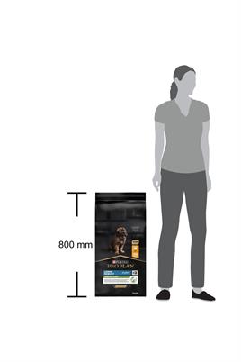 Pro Plan Puppy Robust Tavuklu Yavru Köpek Maması 12 Kg