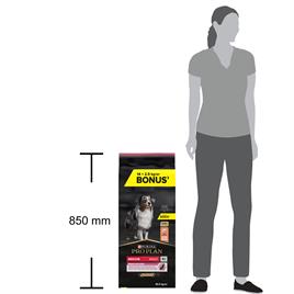 Pro Plan Somonlu Hassas Yetişkin Kuru Köpek Maması 14+2,5 Kg