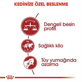 Royal Canin Fit 32 Kedi Kuru Maması 4 kg