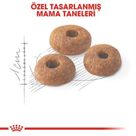 Royal Canin Fit 32 Kedi Kuru Maması 4 kg