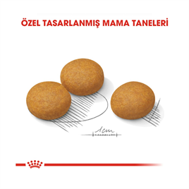 Royal Canin Maxi Dermacomfort Köpek Maması 12 Kg