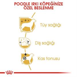 Royal Canin Poodle Adult Köpek Maması 3 kg