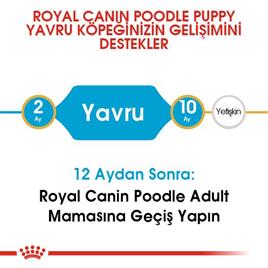Royal Canin Poodle Puppy Köpek Maması 3 Kg