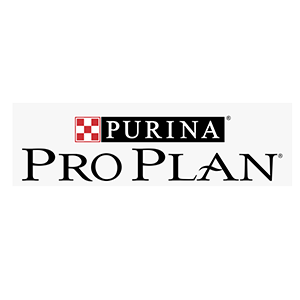 Pro Plan