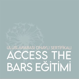 Access The Bars Eğitimi