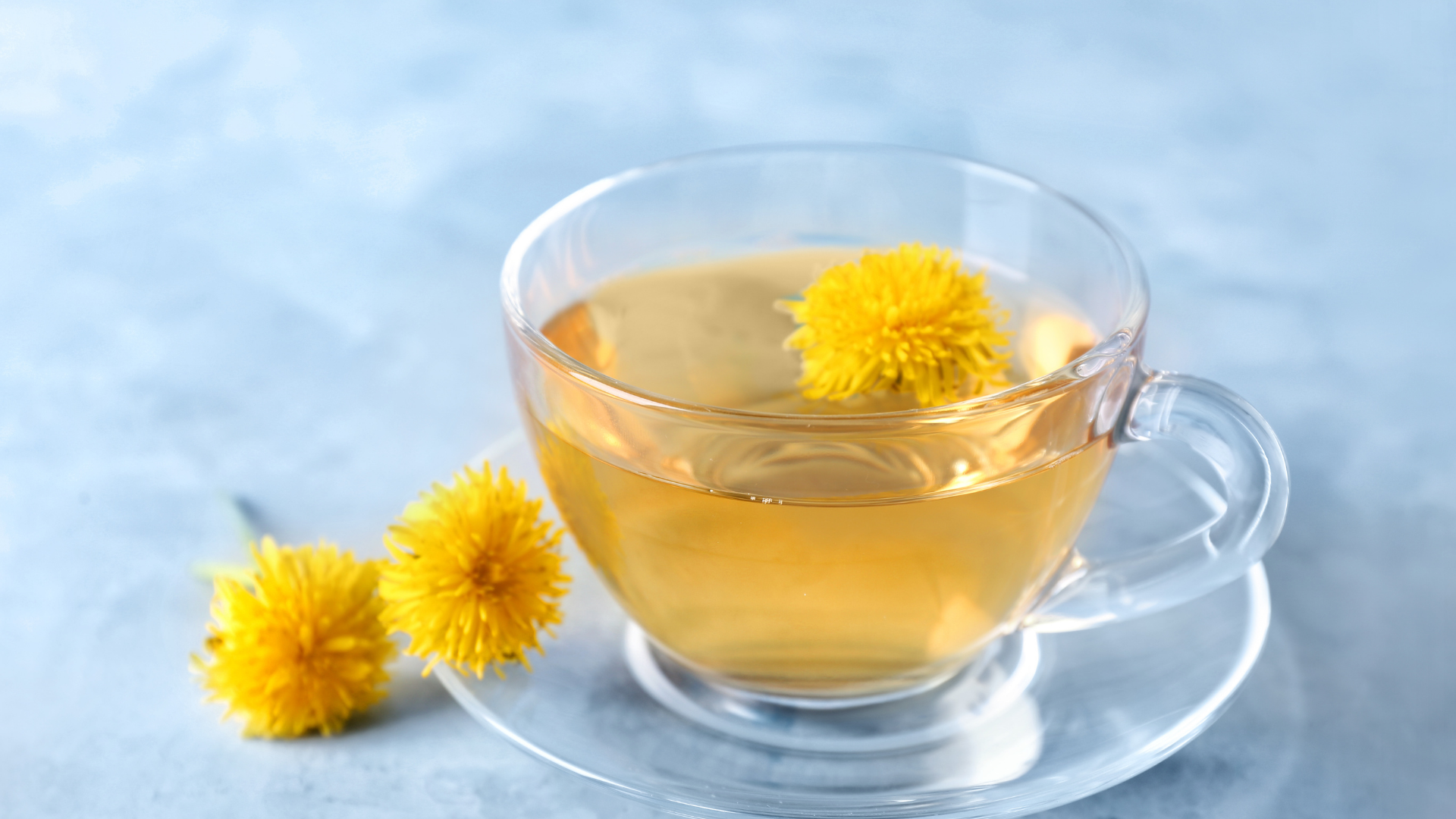 Mevsimlere Göre Bitki Çayları: Yıl Boyunca Sağlığınız İçin En İyi Seçimler