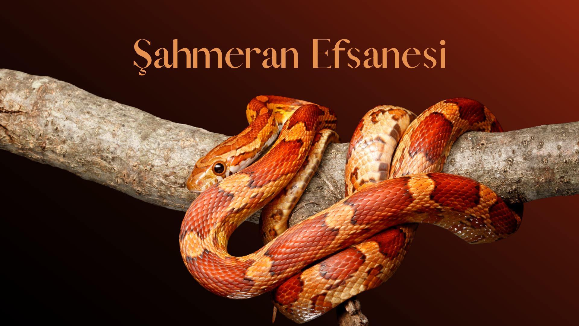 şahmeran efsanesi