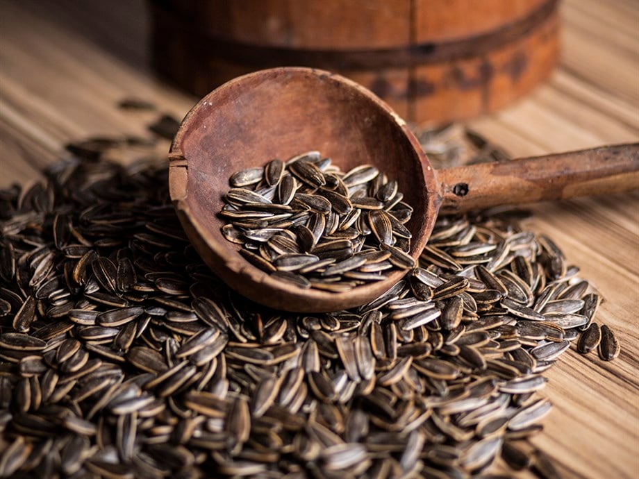 Dakota Çekirdek Çiğ