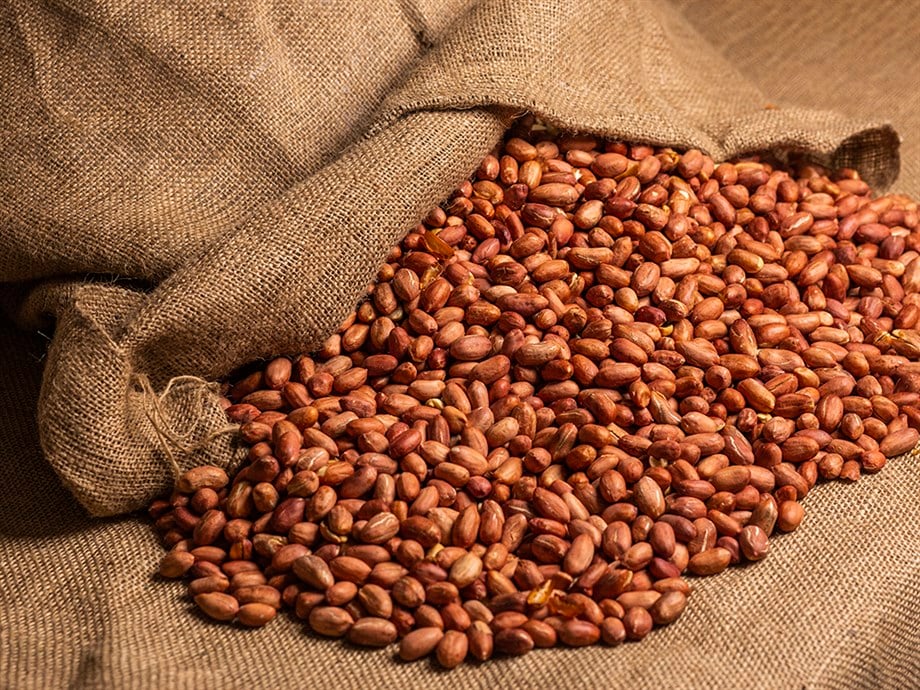 Fıstık İçi Çiğ