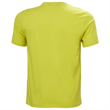 Helly Hansen Hh Logo 3.0 Erkek T-shirt