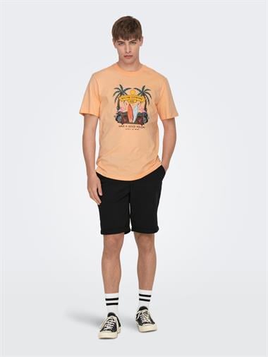 Only & Sons Onspeter Reg Twill 4481 Shorts Noos Erkek Şort