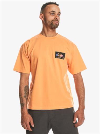 Quiksilver Back Flash Ss Erkek T-Shirt