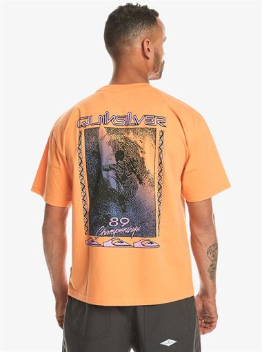 Quiksilver Back Flash Ss Erkek T-Shirt