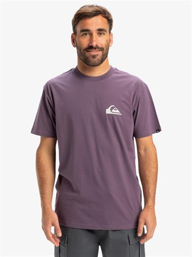 Quiksilver Ev Mini Logo Ss Erkek T-Shirt