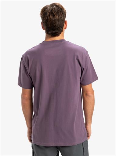 Quiksilver Ev Mini Logo Ss Erkek T-Shirt
