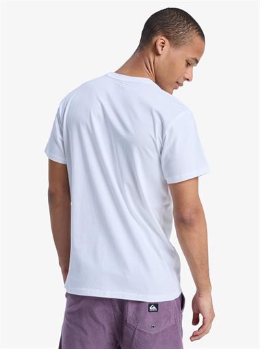 Quiksilver Ev Mini Logo Ss Erkek T-Shirt