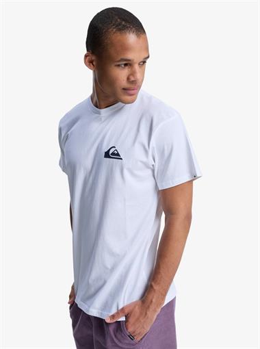 Quiksilver Ev Mini Logo Ss Erkek T-Shirt