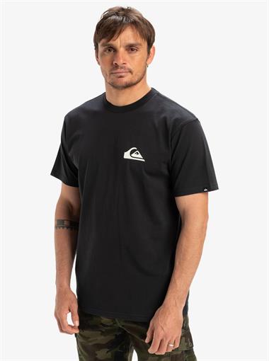 Quiksilver Ev Mini Logo Ss Erkek T-Shirt