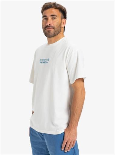Quiksilver Hw Tree Connection Ss Erkek T-Shirt