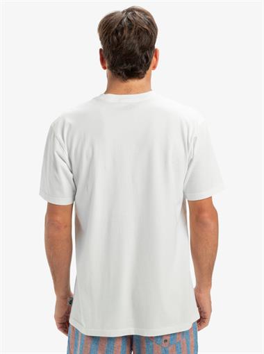 Quiksilver Salt Water Pocket Ss Tee Erkek T-Shirt