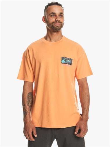 Quiksilver Spin Cycle Ss Erkek T-Shirt