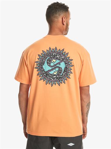 Quiksilver Spin Cycle Ss Erkek T-Shirt