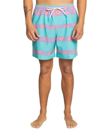 Quiksilver Take Us Back Vl 17 Erkek Deniz Şortu