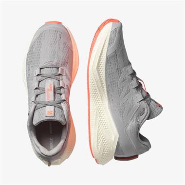 Salomon Aero Glide 3 Erkek Koşu Ayakkabısı